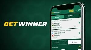 BetWinner Casino and Sportsbook The Ultimate Gaming Destination BetWinner Casino and Sportsbook The Ultimate Gaming Destination