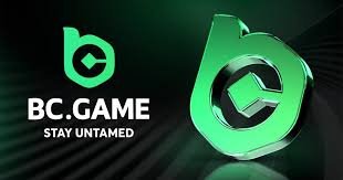 Exploring the Features of BC.Game DK Platform