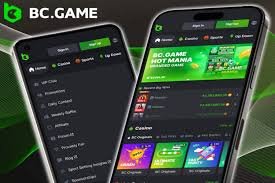 Discover the Exciting World of BC.Game Romania