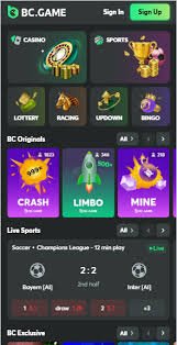 Exploring the World of BC.Game Online Casino A Premier Crypto Gaming Experience