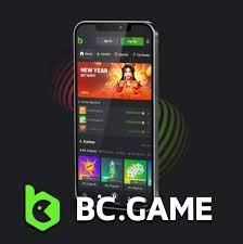 Soporte BC.Game Asistencia Rápida y Efectiva para Jugadores
