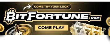 Understanding Bitfortune Fast Payouts and Network Fees -1245630449