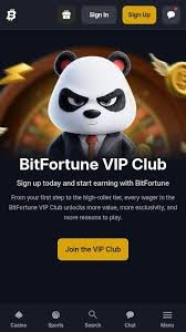 Weekly Returns Bitfortune VIP Cashback - Maximizing Your Earnings