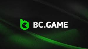 BC App Download Your Gateway to Instant Access and Efficient Management