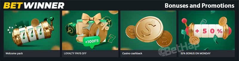 Experience the Thrills of BetWinner Online Casino